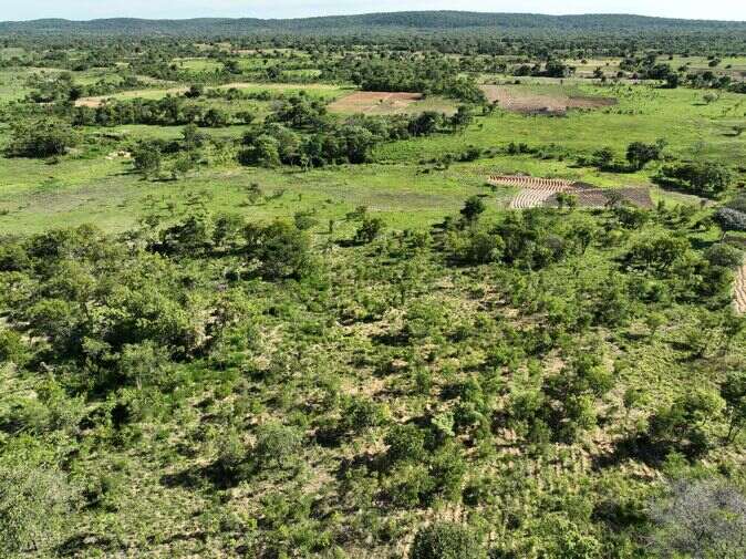 Project Key Timelines and Milestones